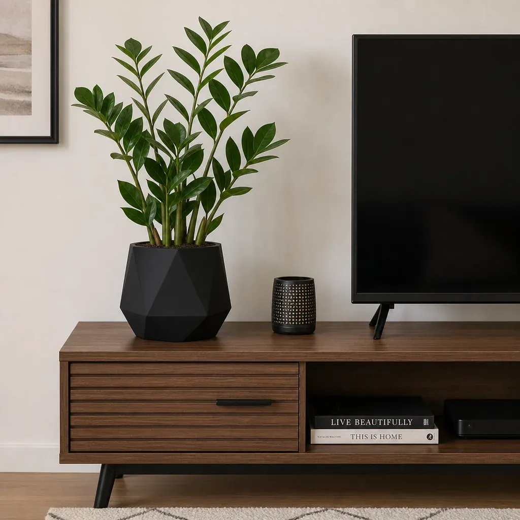 A healthy ZZ plant in a matte black geometric pot sitting on a modern wooden media console